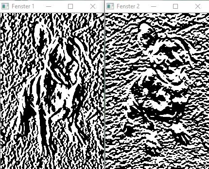 untitled-1.jpg
