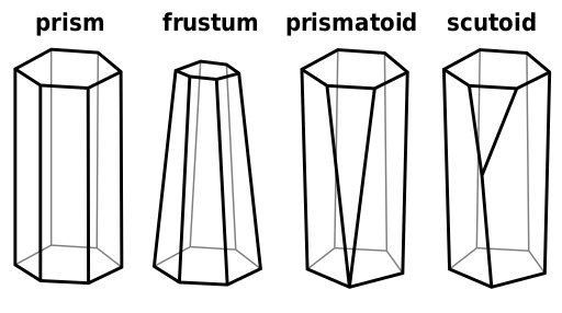 Scutoid im Vergleich zu anderen geometrischen Grundvolumina